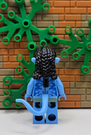47798764