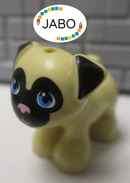 epi