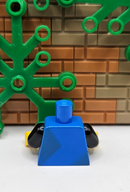 47887337