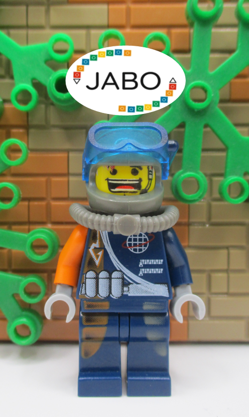 45524026