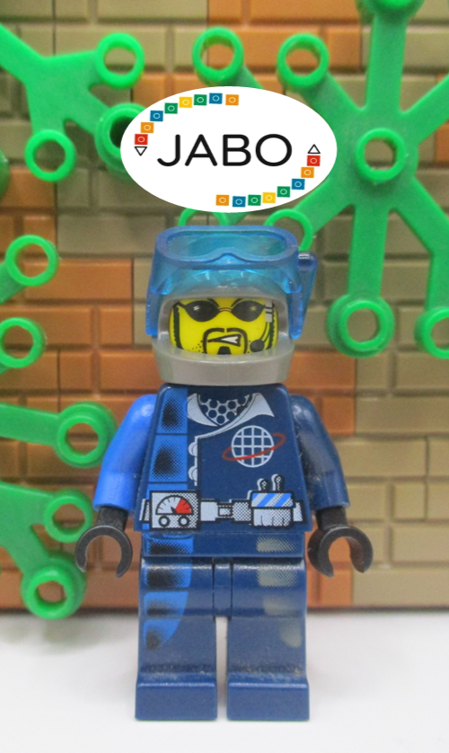 45524025
