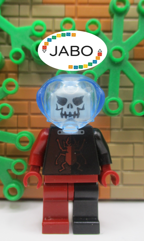 45529651