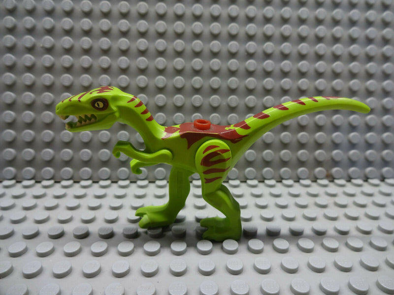 (A7 / 11 -4 ) Lego Dinosurierer Coelophysis 98166pb03 Jurassic World 5884